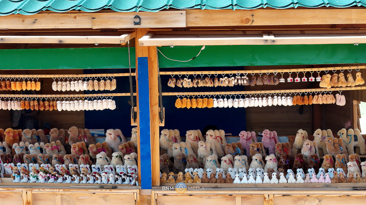 Souvenir Shop 1